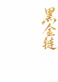 黑金链条包耐脏款